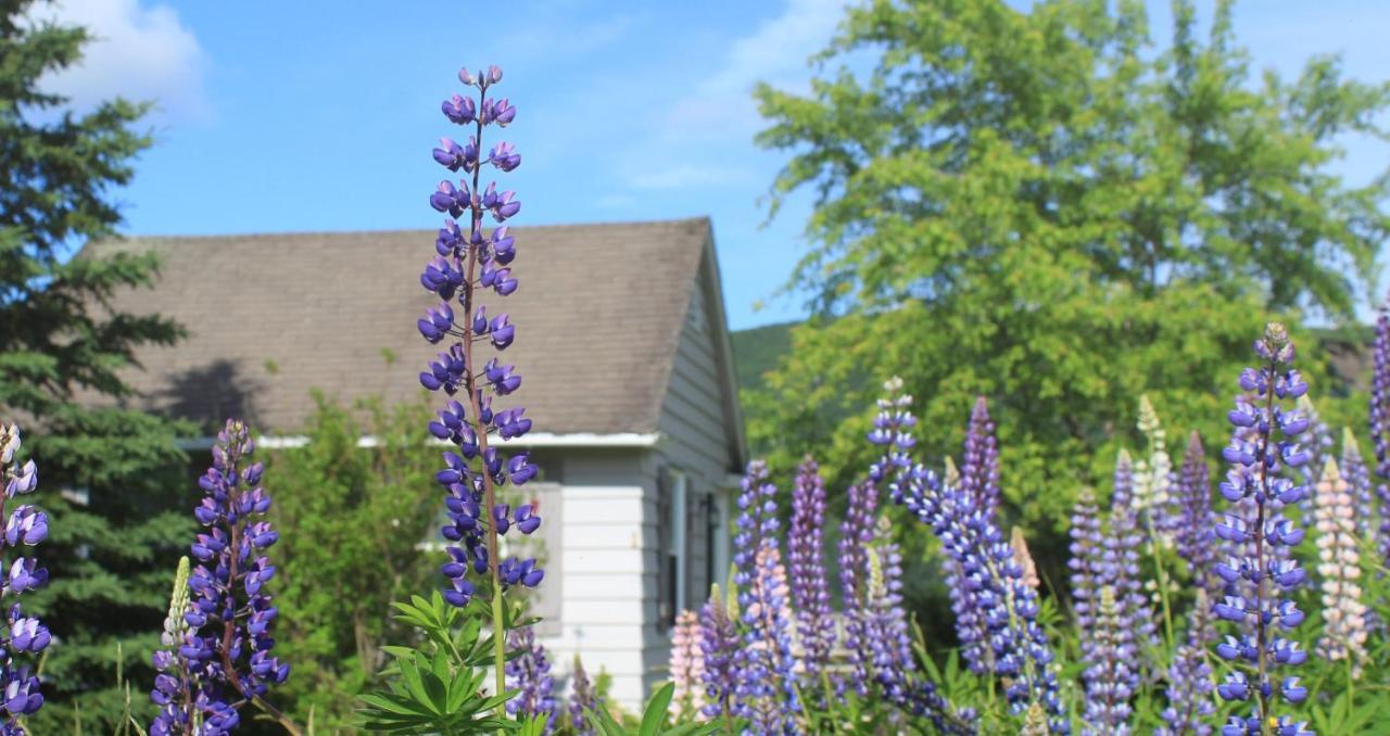 Chanterelle Inn & Cottages Baddeck Inlet Екстериор снимка